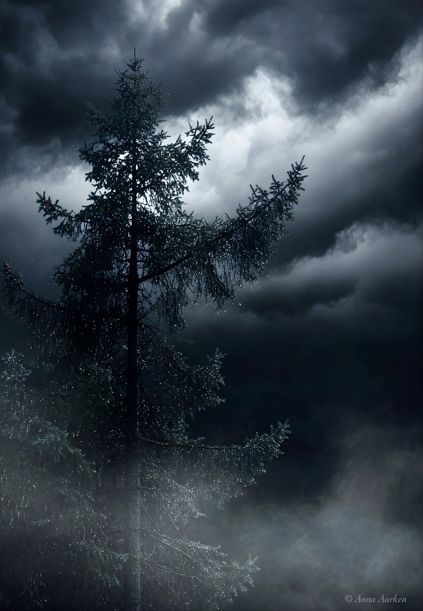 Beyond Worlds – image fiction series · Lumen Wild · Anna Aurken